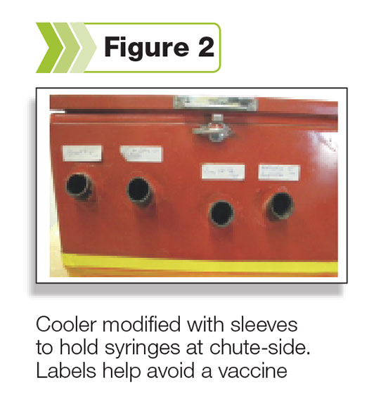 Figure 2: A cooler modified with sleeves, to hold vaccine guns at chuteside.