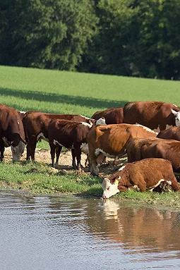 051313_alkire_water_full.jpg