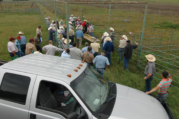 Attending producers from Brazos Valley