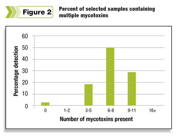 Figure 2: multiple mycotoxins