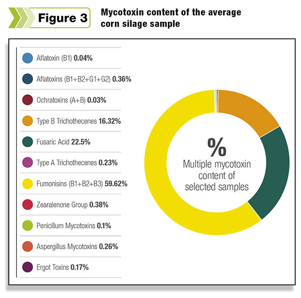 Figure 3: Mycotoxin contnet average corn silage