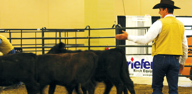 Stockmanship insturctor Curt Pate