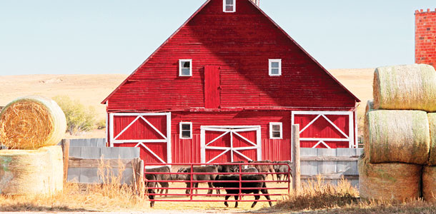 barn built in 1911 still used every day