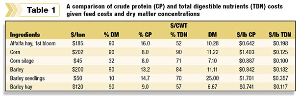 Comparison of crude protein