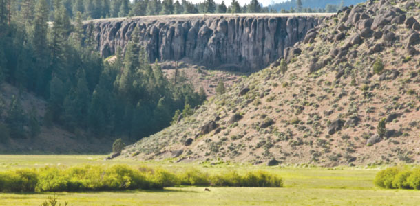 Mountain ranch meadows