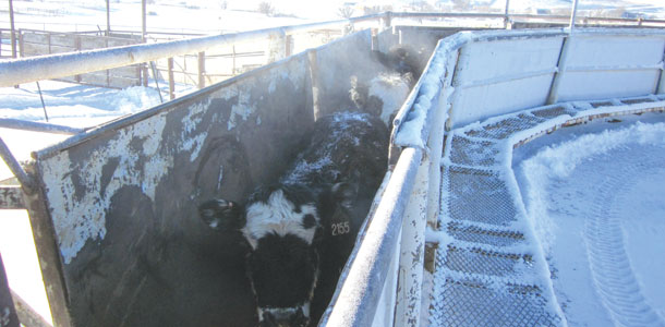 covered chutes