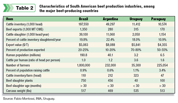Characteristics of South American beef production