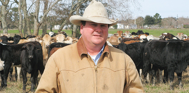 David Edwards