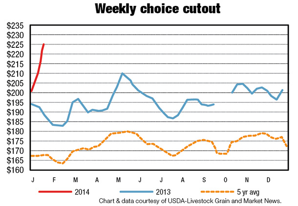 Weekly choice cutout