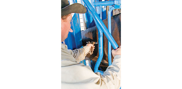 Shot given with squeeze chute