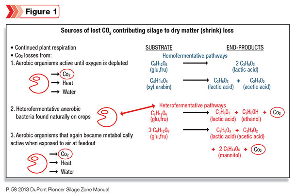 Sources of lost CO, contributing silage to dry matter loss