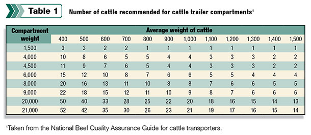 Number of cattle recommended for cattle trailer