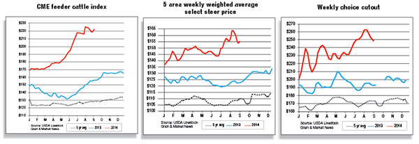 CME feeder cattle index market report
