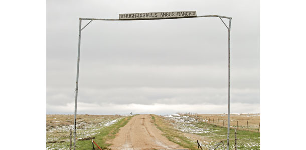 Ingells Ranch
