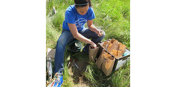 Student intern Allison Haider
