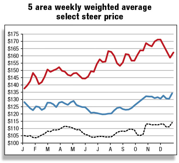 Weekly choice cutout