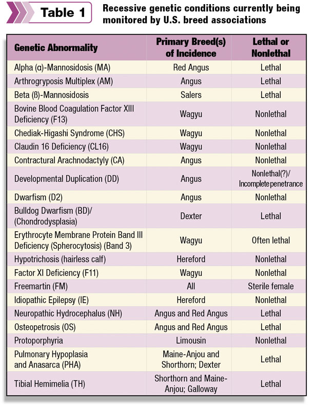 Recessive genetic conditions