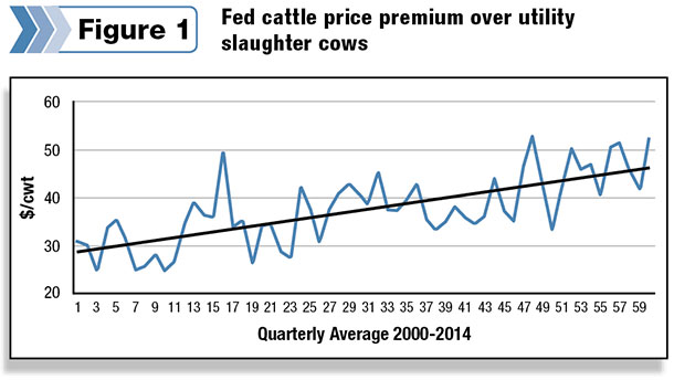fed cattle prices figure