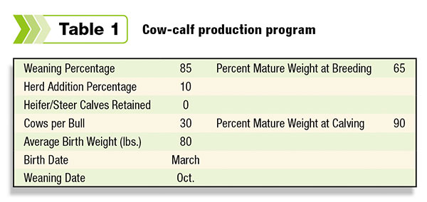 Cow-calf production program