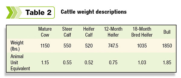 Cattle weight descriptions