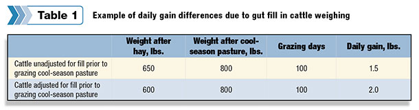 Example of daily gain differences due to gut fill in cattle