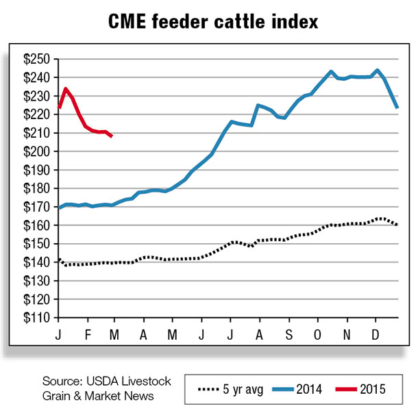 CME feeder cattle indes
