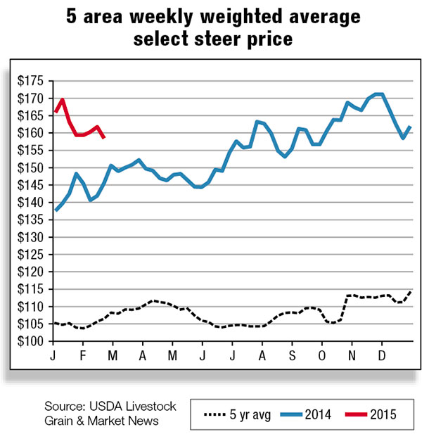 5 area weekly weighted average select steer price
