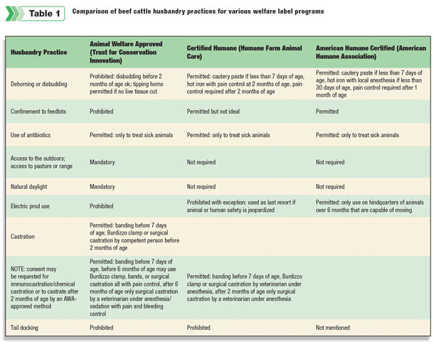 Comparison of beef cattle husbandry practices
