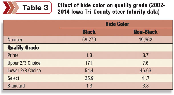 Effect of hide color on quality grade