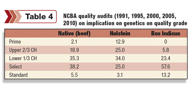 NCBA quality audits 