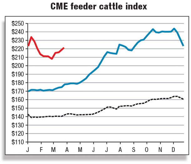CME feeder cattle index