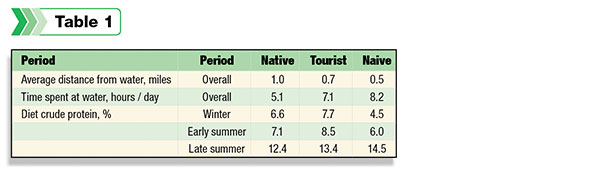 comparing native and tourist cattle