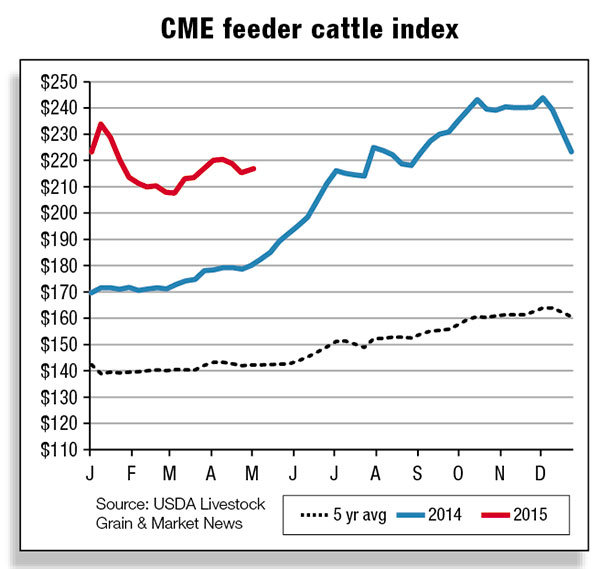 CME feeder cattle index
