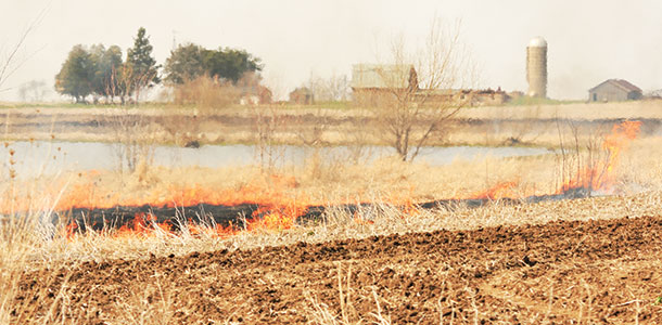 Prescribed burn