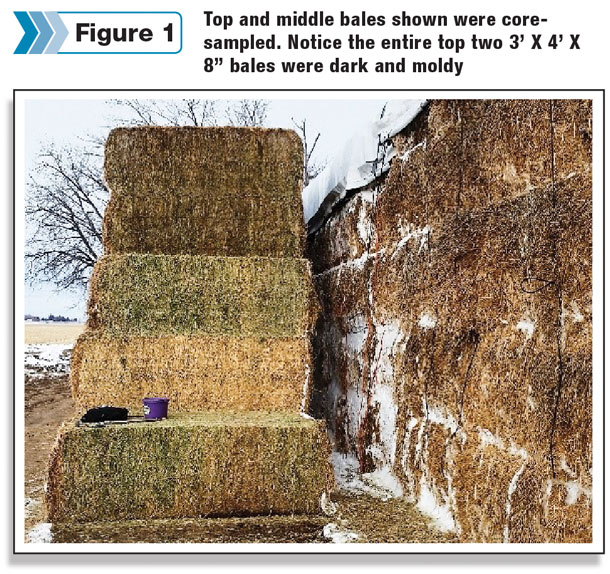 Top and middle bale were core sampled 