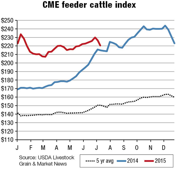 CME feeder cattle index