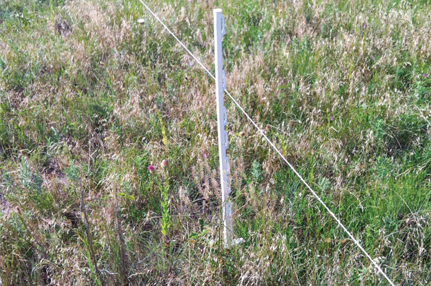 single strand poly wire electric fence