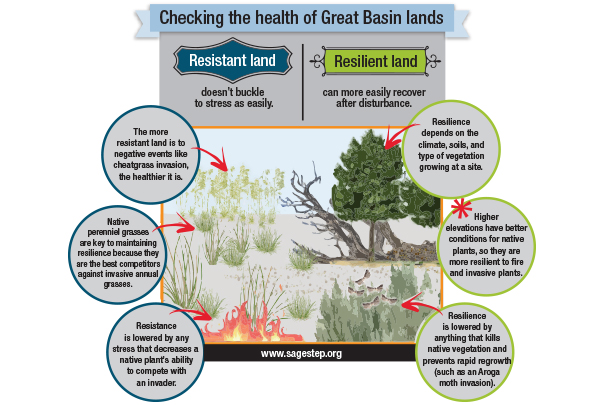 resistant land
