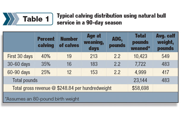 Typical calving distribution using natural bull services
