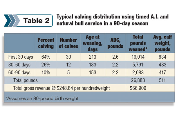 Typical calving distribution using timed A.I.