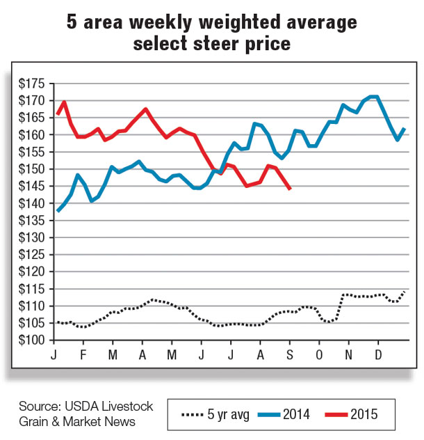 5 area weekly weighted average select steer price