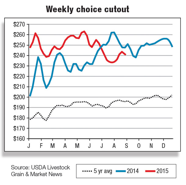 Weekly choice cutout