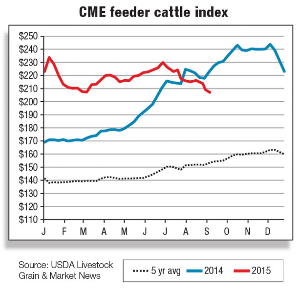 CME feeder cattle index