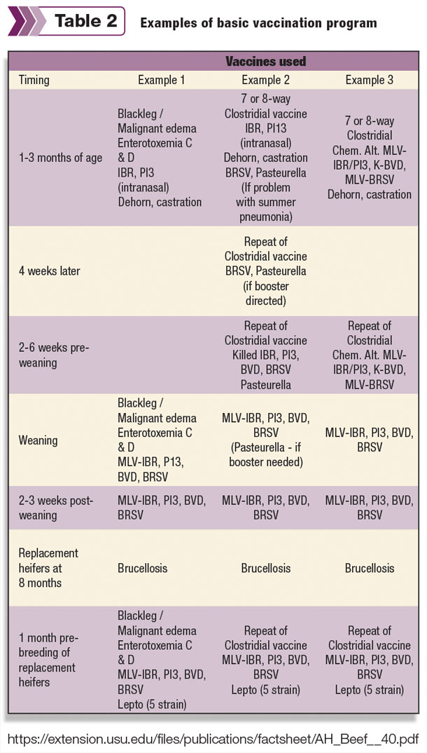 Examples of basic vaccination program