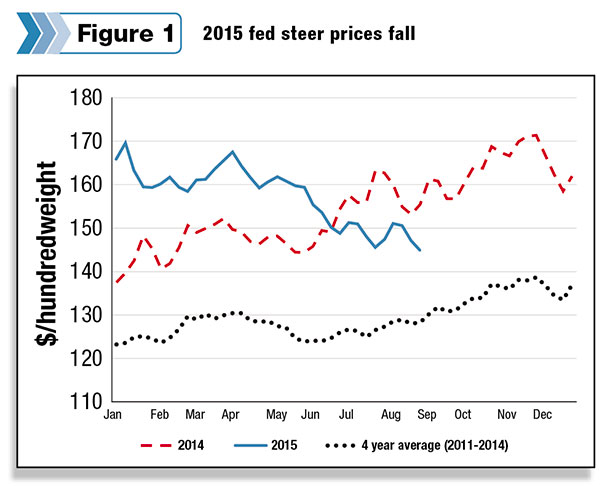 2015 fed steer prices fall