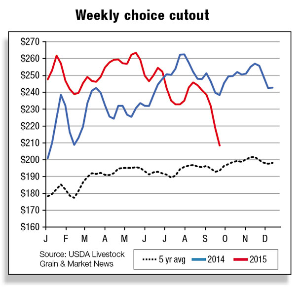 Weekly choice cutout