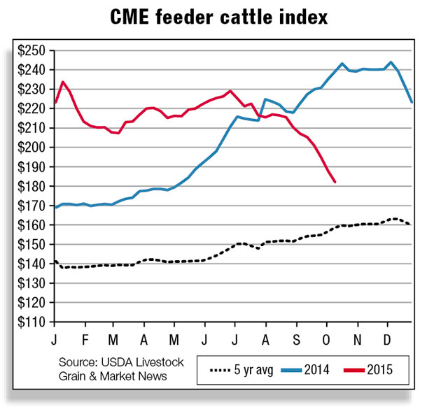 CME feeder cattle index