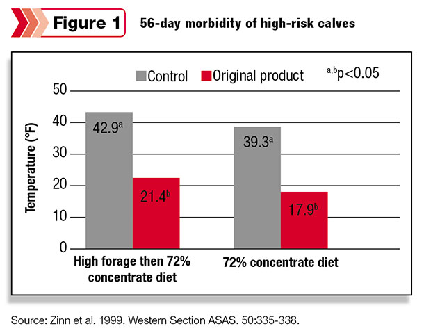 56-day morbidity of high-risk calves