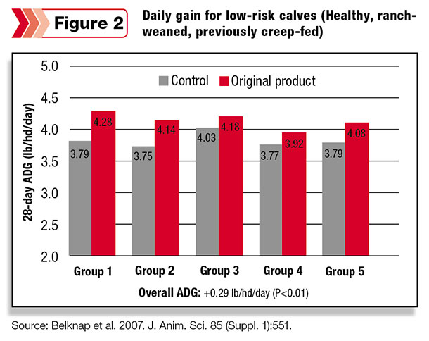 Daily gain for low risk calves
