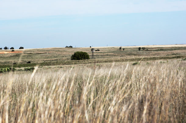 Field near Follet, Texas